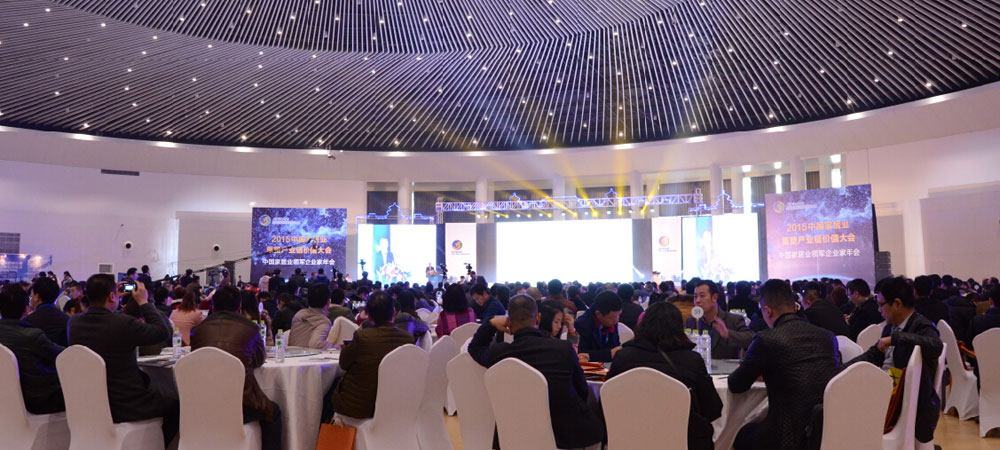 2015中国橱柜行业年会：十年风雨，十年精彩