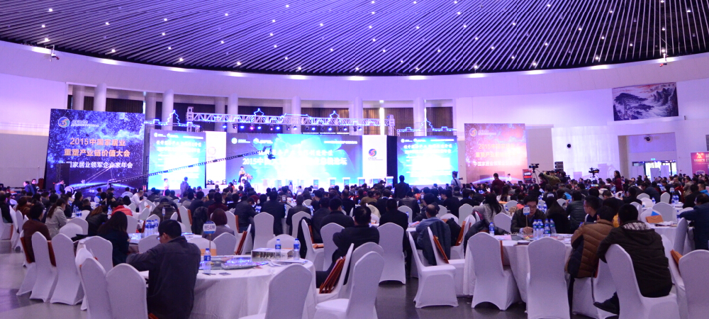 2015年中国大定制家居行业年会精彩盛况
